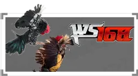 WS168